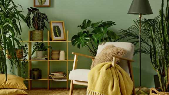 W tataraku Dekoral MOC KOLORU 