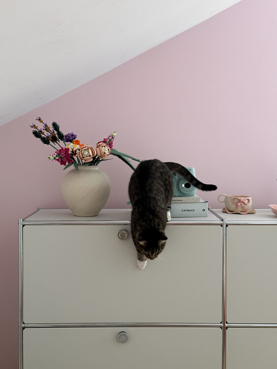 Ściana pomalowana kolorem Różowy jasny Dekoral EFFECT 3in1