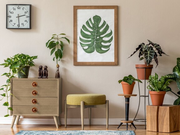 Dekoral EXPRESS TOP Pączek w maśle